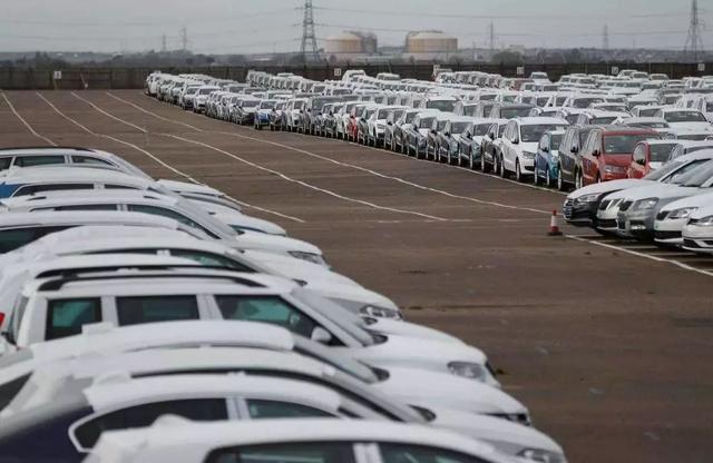 你看2019年的样子，好像一条狗