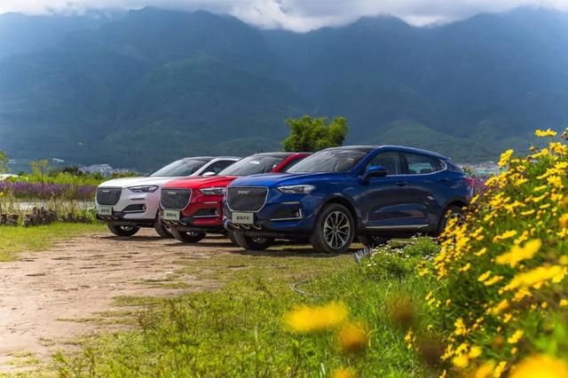 盘点在市场里创下佳绩的车企，它们成功的秘诀是什么？