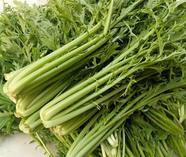 唐大姐教你自己在家做梅干菜简单易学味道不比买的差