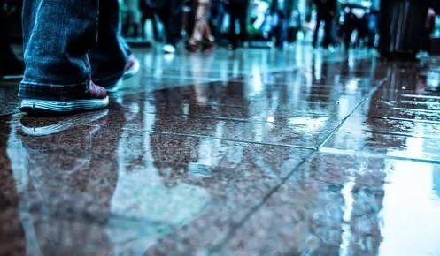 你看2019年的样子，好像一条狗