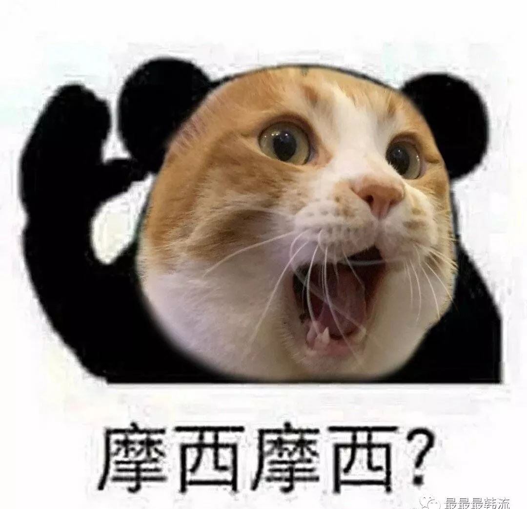 金希澈momo确认恋爱房子塌了