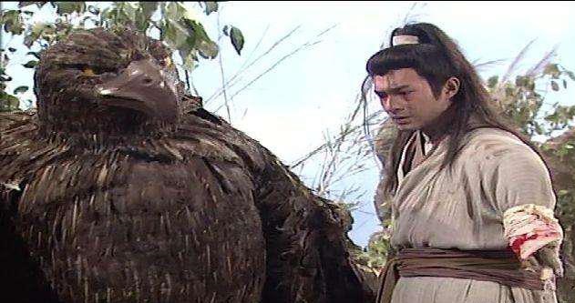 古天乐版杨过和神雕的感情有多深,从这几幅图中可以看出|神雕|古天乐