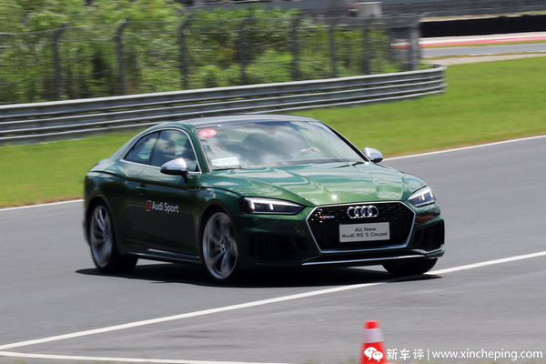 庆哥的2019 TOP 10：最高的特别奖竟然给了它？