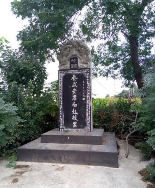 不爽,尤其是当时秦军接连失败,形势非常严峻,(3)范雎在一旁煽风点火!