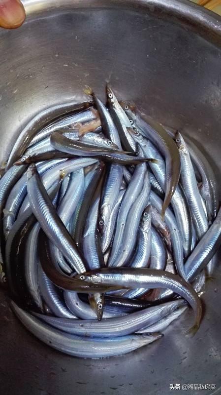 海虹学名"贻贝",北方叫它"海虹",南方多称之为"青口",是北方常见的一