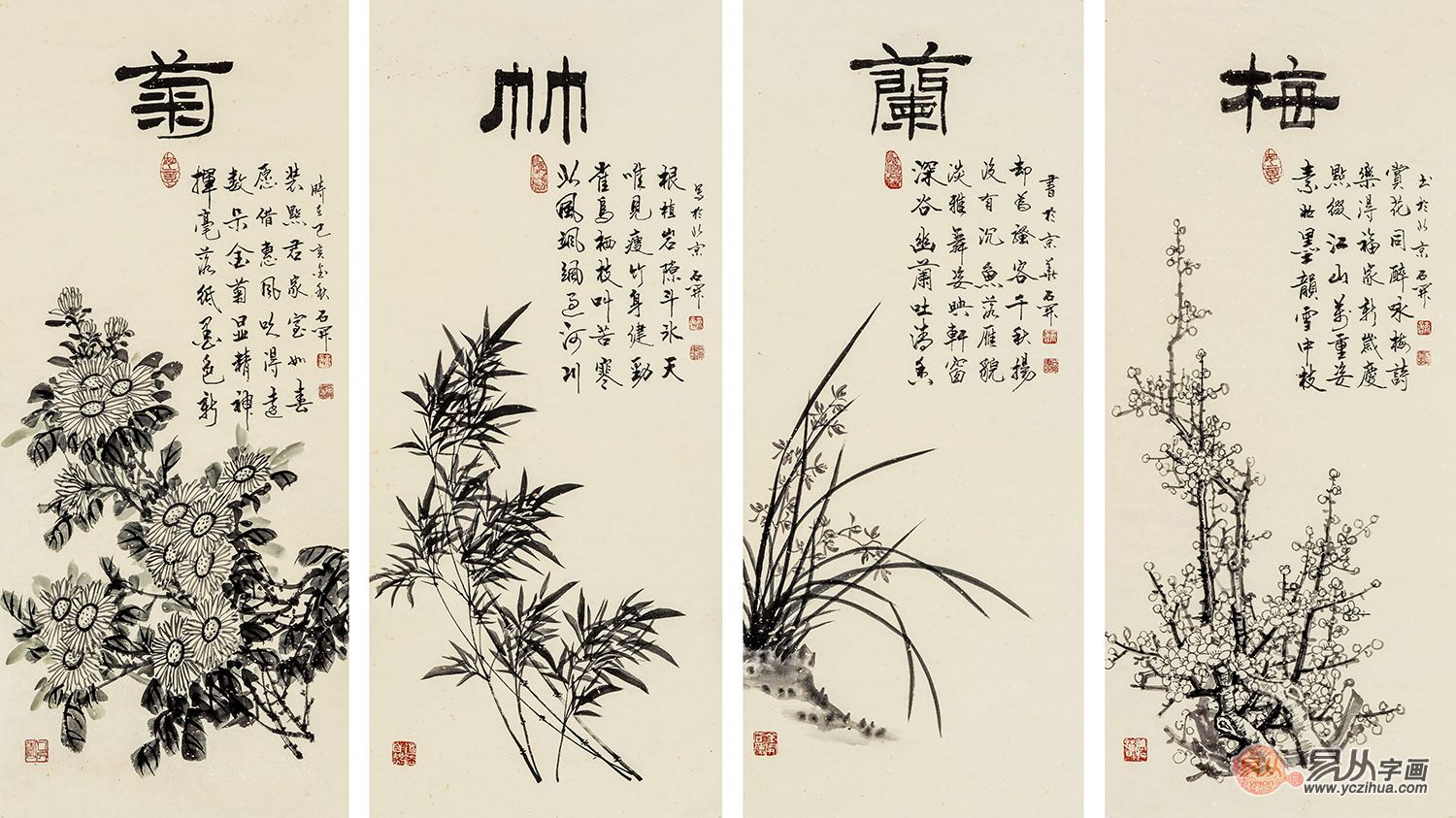 菊"君子"之风传颂至今,无论他们的自然规律——春兰,夏竹,秋菊,冬梅