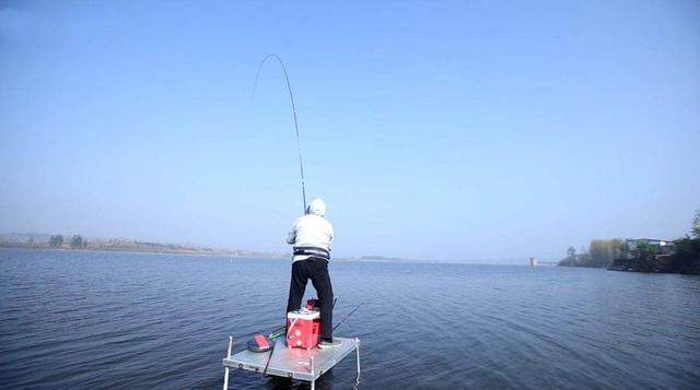 冬钓鲫鱼时,遇到大鱼咬钩怎么办?这样做才能成功擒获大鱼|大鱼|鱼|鲫