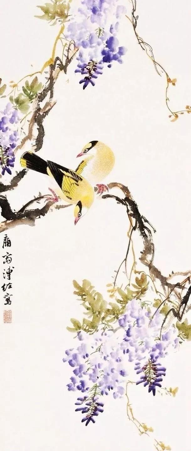 悦人心目的黄鹂绝美