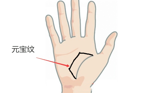 元宝纹手相图片 新浪网