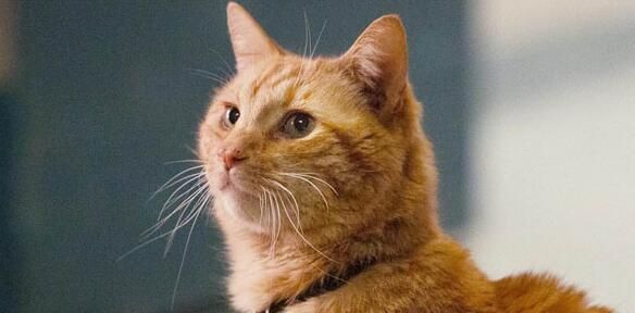 黑市有价无市,火箭想把它卖了