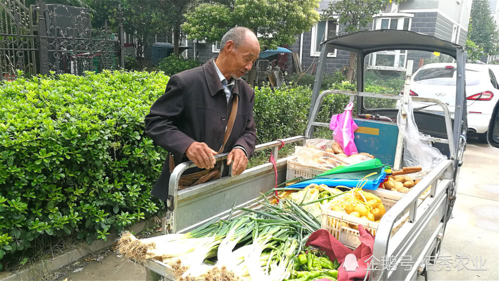 农村自产蔬菜为啥受欢迎,老农民进城卖菜,"谎言"被揭穿