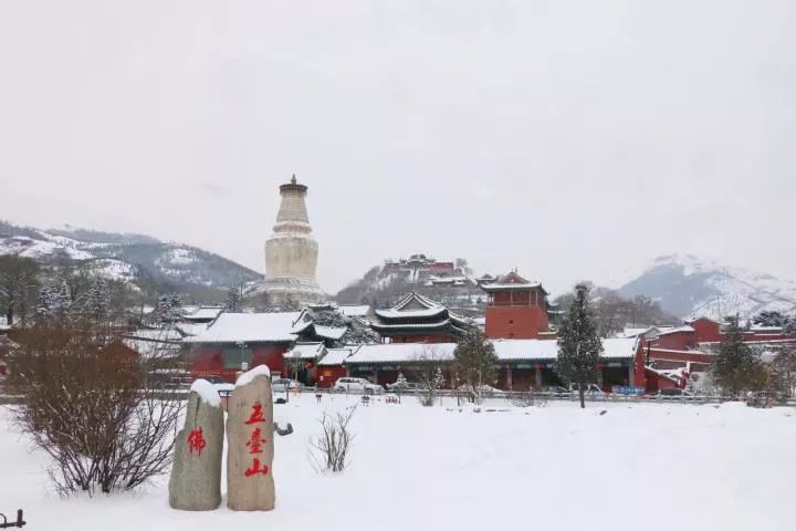 大雪纷飞,北京又飘来了雪花,山西也不例外,雪后的佛教圣地山西五台山