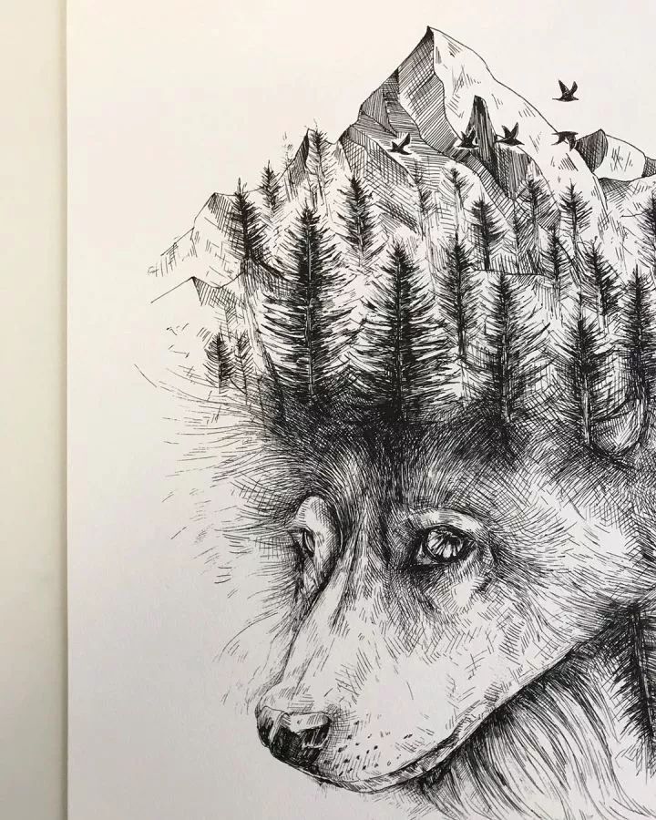 国外艺术家用针管笔,创作充满幻想主义色彩的动物肖像画