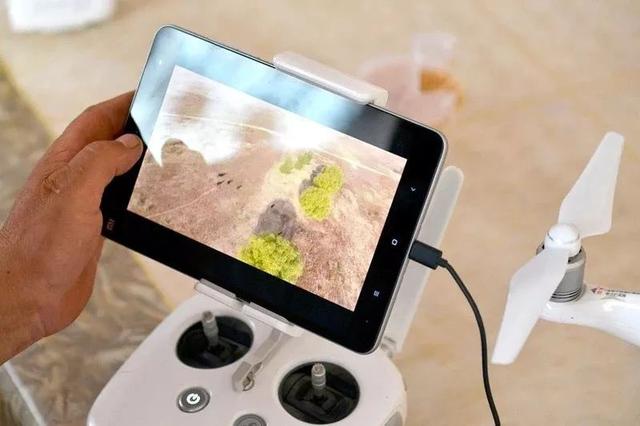 2500万只羊怎么放？新西兰人解锁了无人机放牧的N种玩法