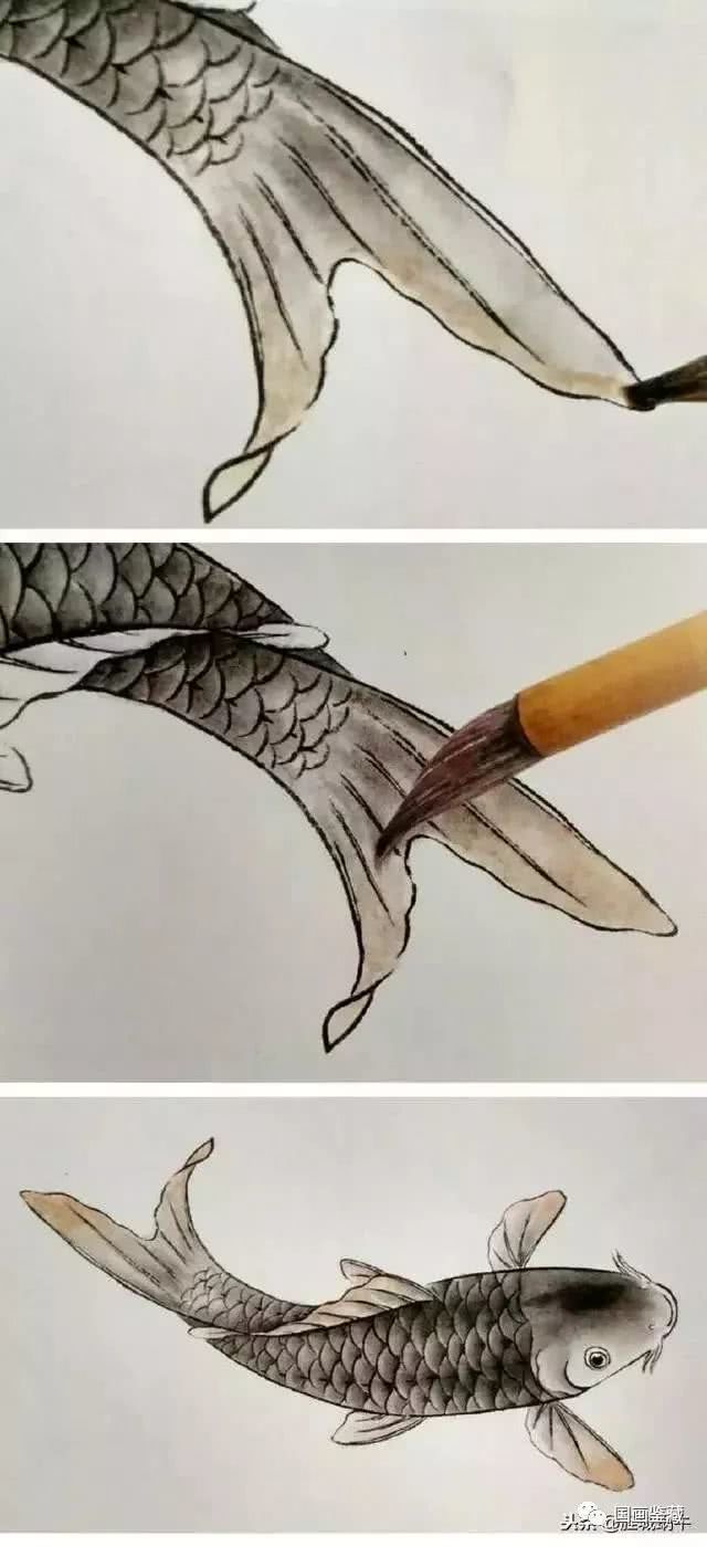 鲤鱼的工笔渲染技法