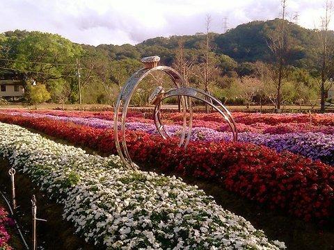 两处景点都叫富田农场 ,台湾农场以北海道富田的花海为范本打造