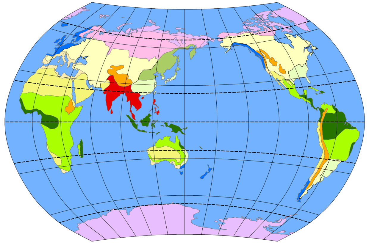 世界上主要的气候类型有哪些类型?这些气候的分布有什么规律?