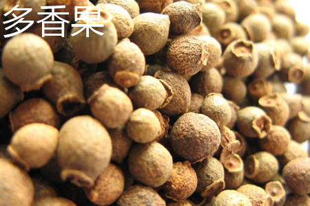 多香果和香果应该如何区别