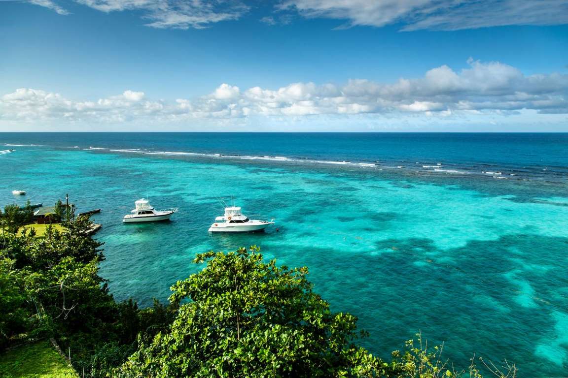 威尔法轮胎多少钱一条