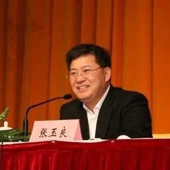 视频|武汉绿地中心欠债停工？张玉良：没停工 已起诉