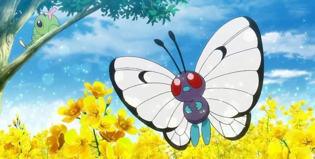 口袋妖怪:巴大蝴游戏后期的重要性?怪不得幼年期就可震慑一切|蝴|口袋