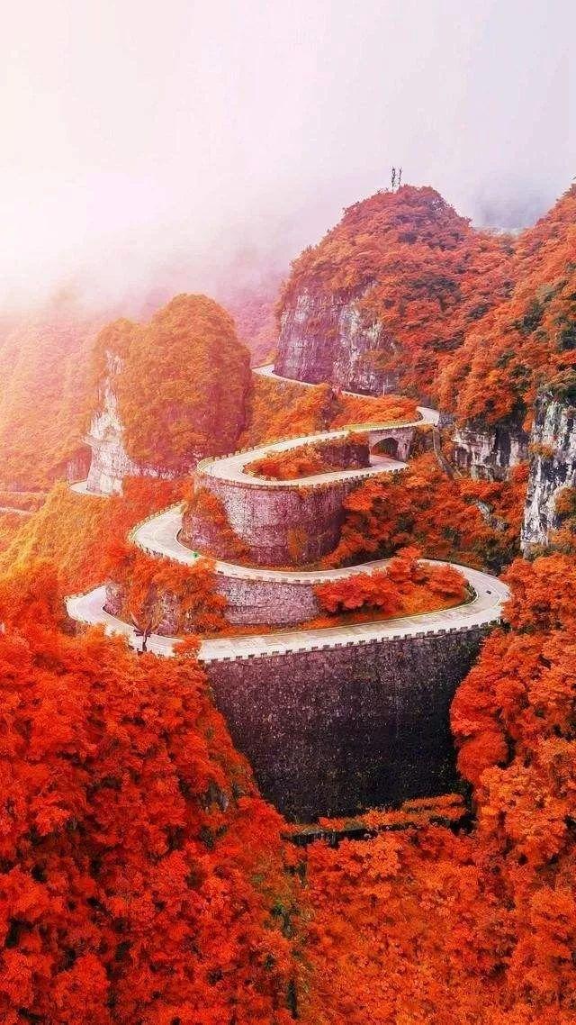 中国最弯的10条公路,你走过几条?敢挑战吗?