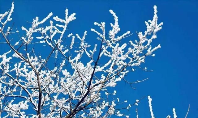 若累了来沂源为你弹一曲山香水韵冬游齐鲁