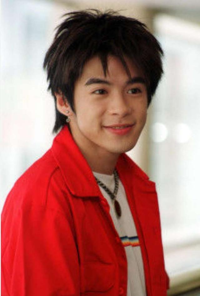 曾因《流星花园》爆红的欧定兴,如今沦落为盗贼被判刑,还是惯犯