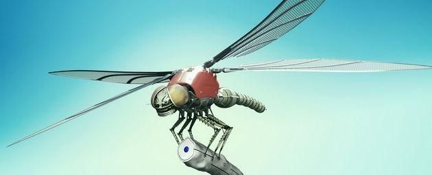 讨厌的苍蝇,匹配超级能力!神奇仿生学,你知道多少?