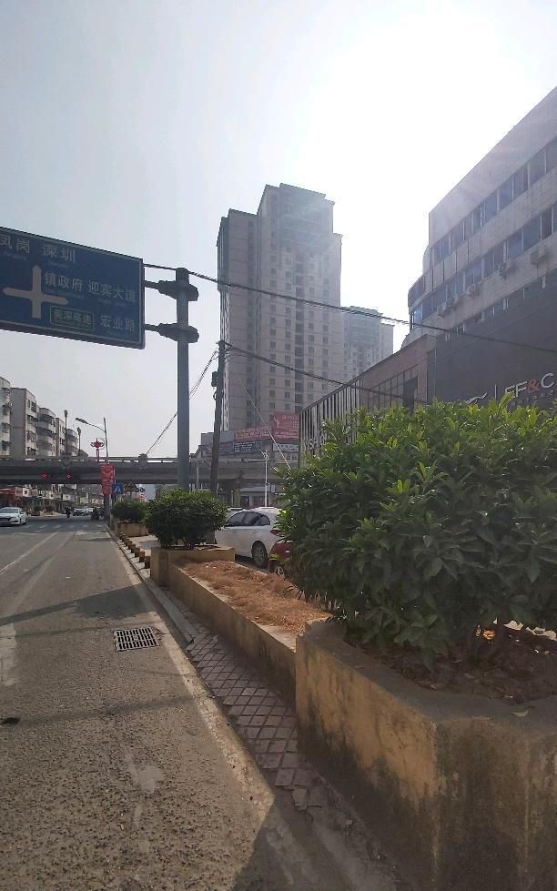 东莞塘厦花园街,塘厦最繁华的步行街