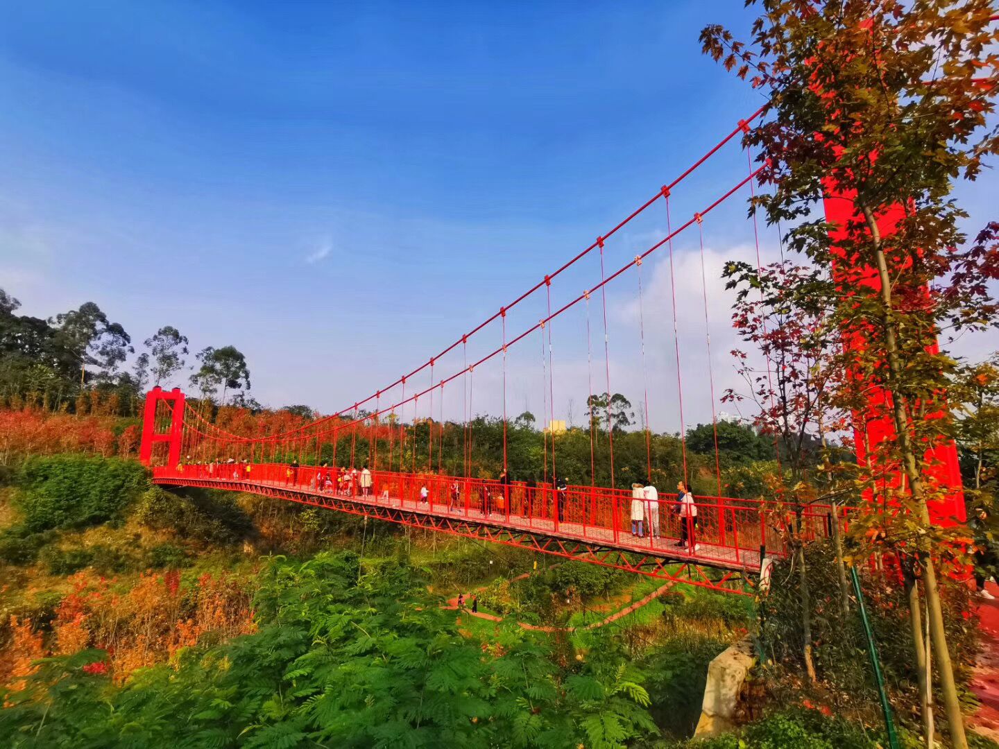 长春冬季玩乐文化研学 松花江滑冰马拉松比亚迪助力