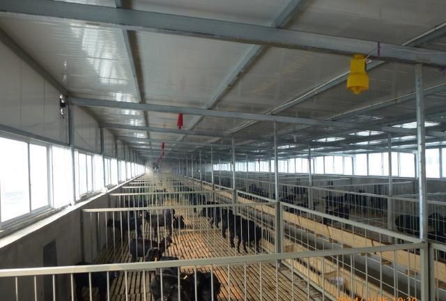 羊舍如何通风换气