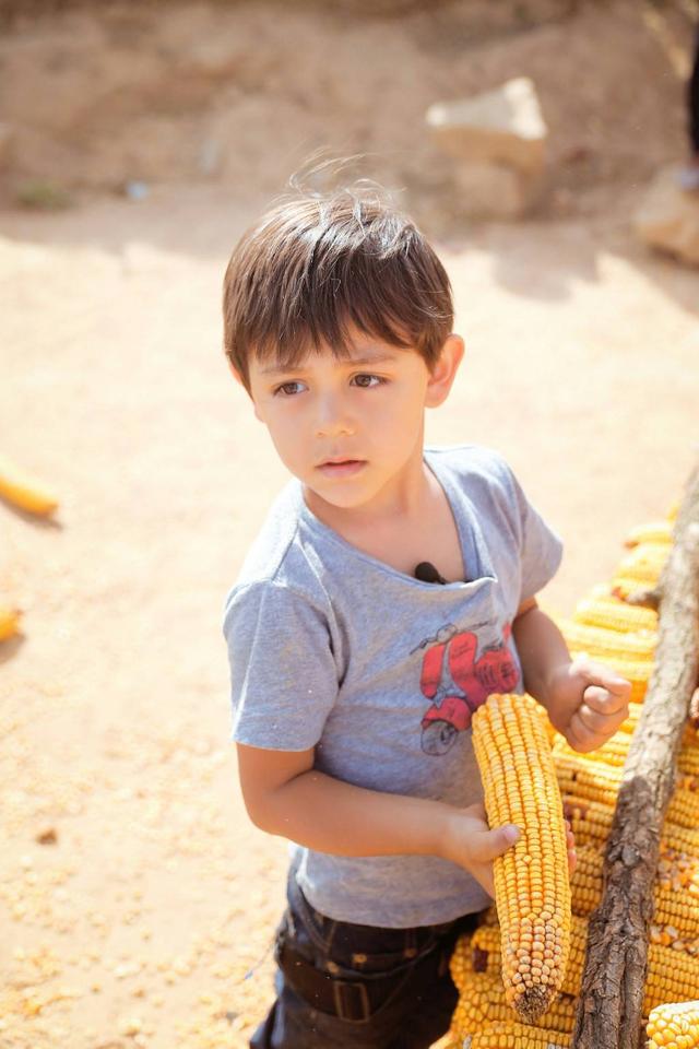 盘点6季爸爸去哪儿萌娃网友最想把jasper和安吉抱回家