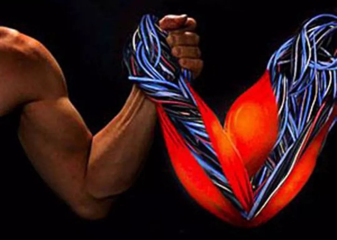 强大的人造肌肉,或将为未来的软机器人,可穿戴设备提供动力!