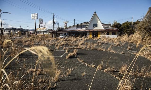 十年后跟随摄像机到福岛核泄漏无人区看看那里的野生动物