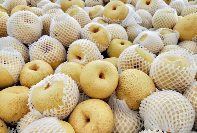 河南省宁陵苏梨在湖北小城云梦