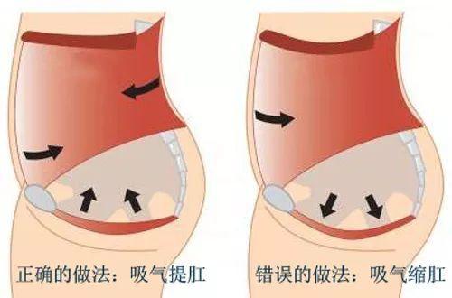 痔疮|肛门|药物_新浪新闻