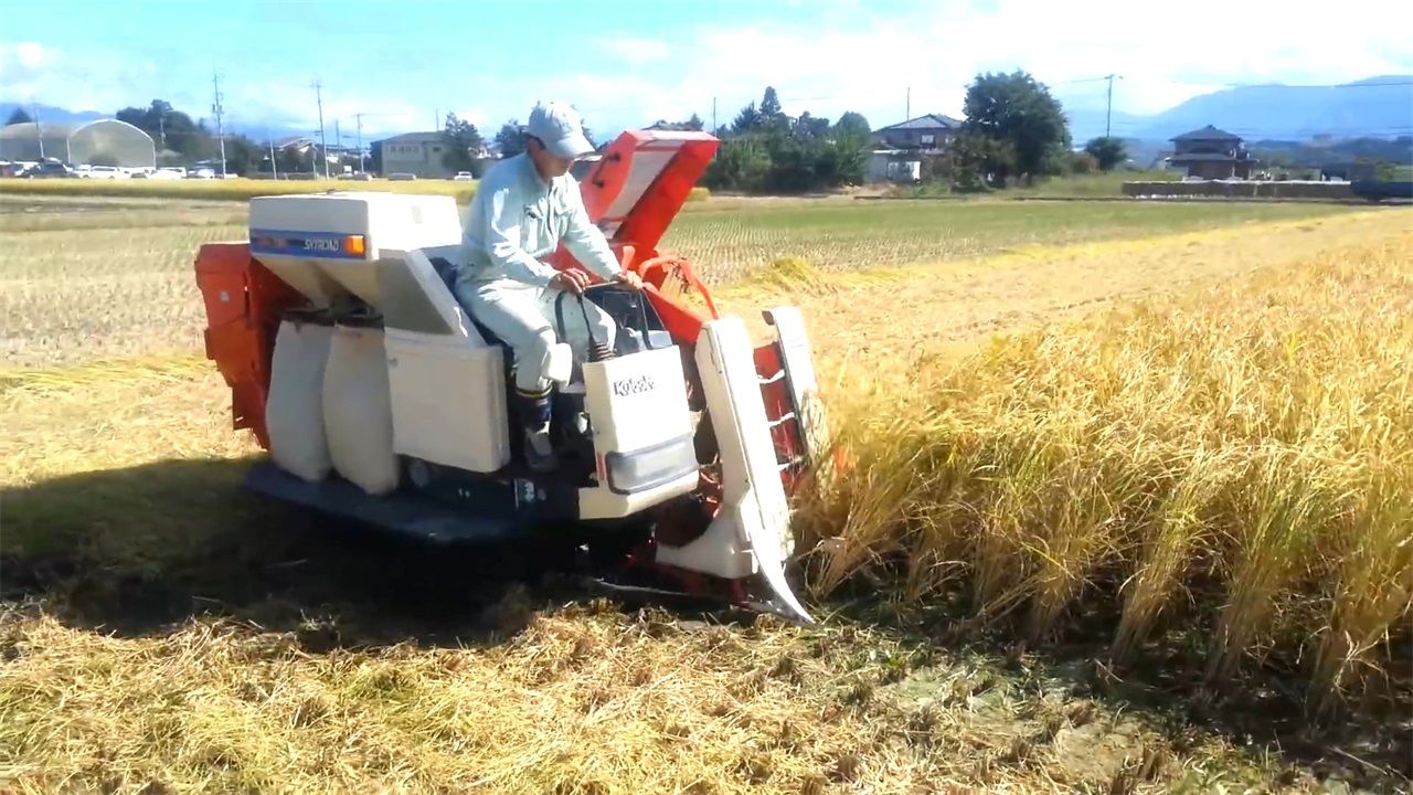 机,平均一天割20亩地,收割打包一次成型|一次成型|水稻|打包_新浪新闻