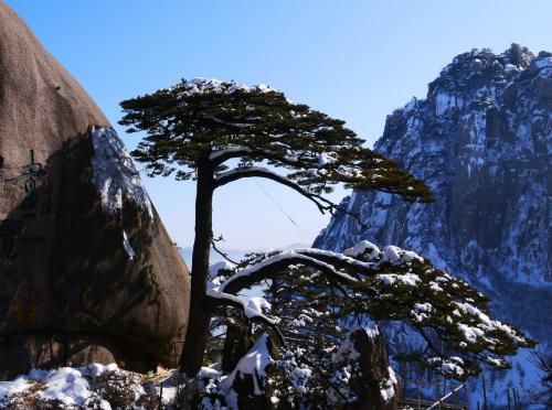 天津武清2019年gdp_2021年第一季度GDP对比2019年,来看看疫情到底给我们带来了什么(2)