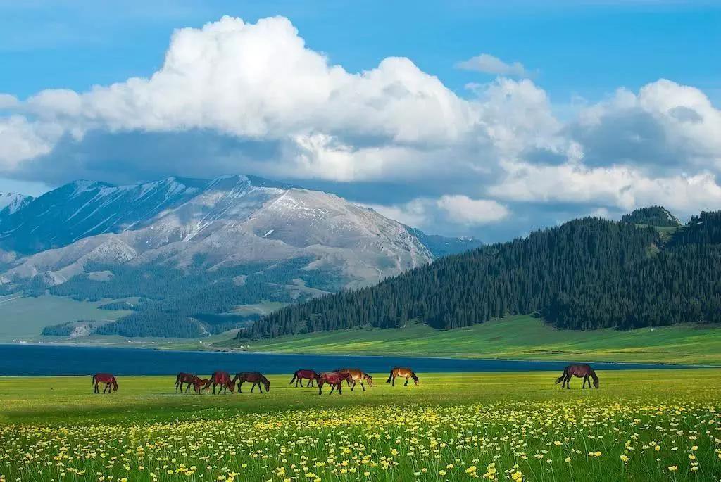 世界面积最大的高原top10