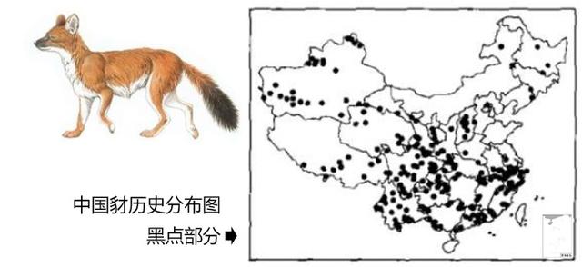 中国猛兽分布图历经百年变迁留下的都是哪些凶悍动物