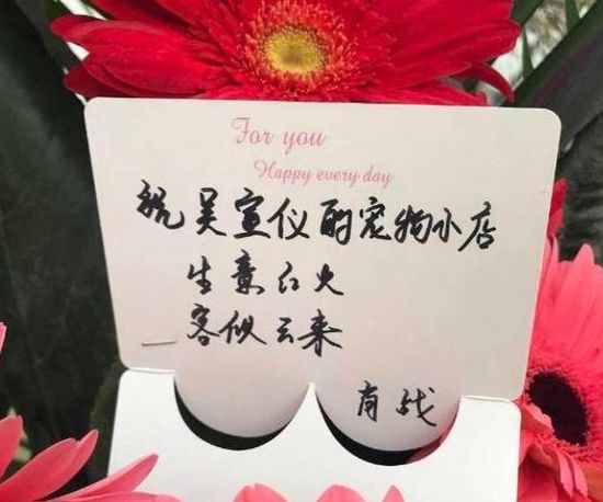 吴宣仪宠物店开张肖战贴心送花篮祝福看清上面的字粉丝酸了