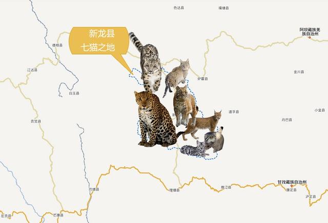 中国猛兽分布图:历经百年变迁,留下的都是哪些凶悍动物?