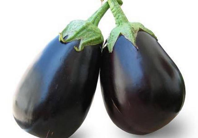 茄子种植冬春季茄果类蔬菜育苗怎样正确合理有效的追肥