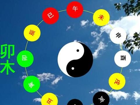 十二地支中“卯木”的相关属性|地支|属性|乙卯_新浪新闻