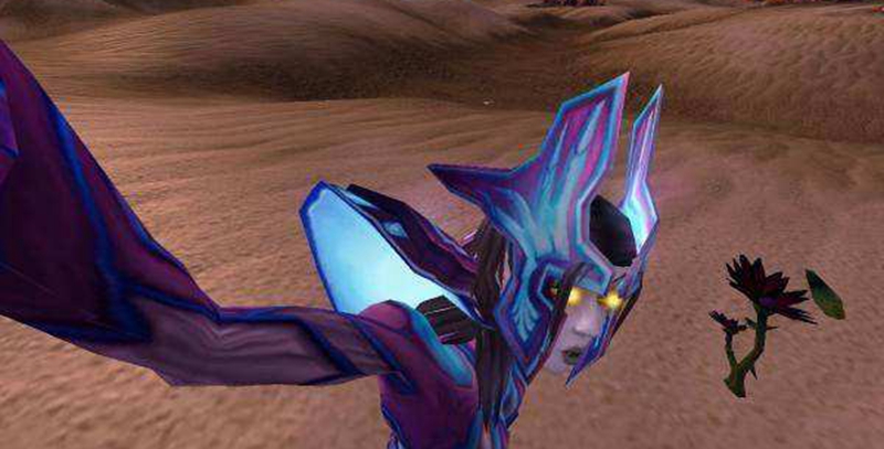 魔兽世界:怀旧服的一则通告振奋人心,导致黑莲花的价格大涨