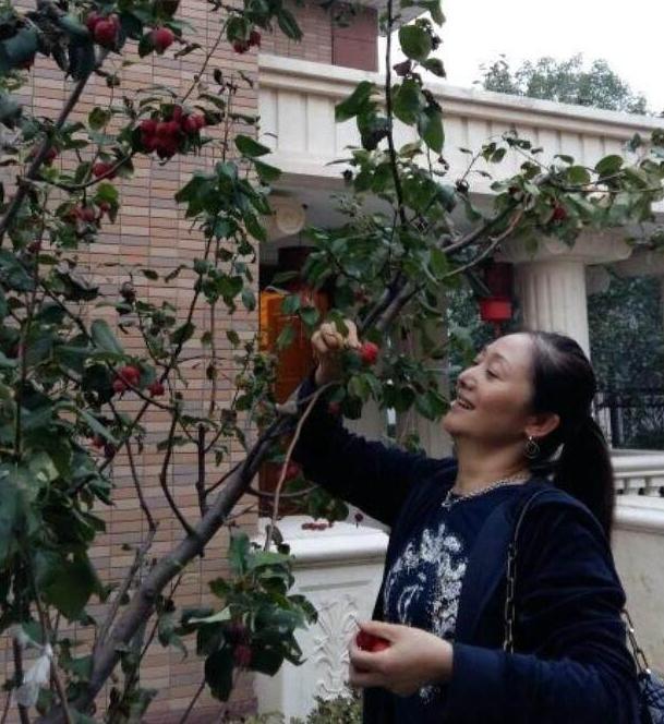 带你参观赵丽娟的家，豪宅住出农村房的味道，家门口还种了果树