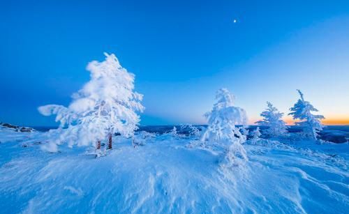 林中玉带两情依依一次温馨的相遇,显得如此浪漫,圣洁!