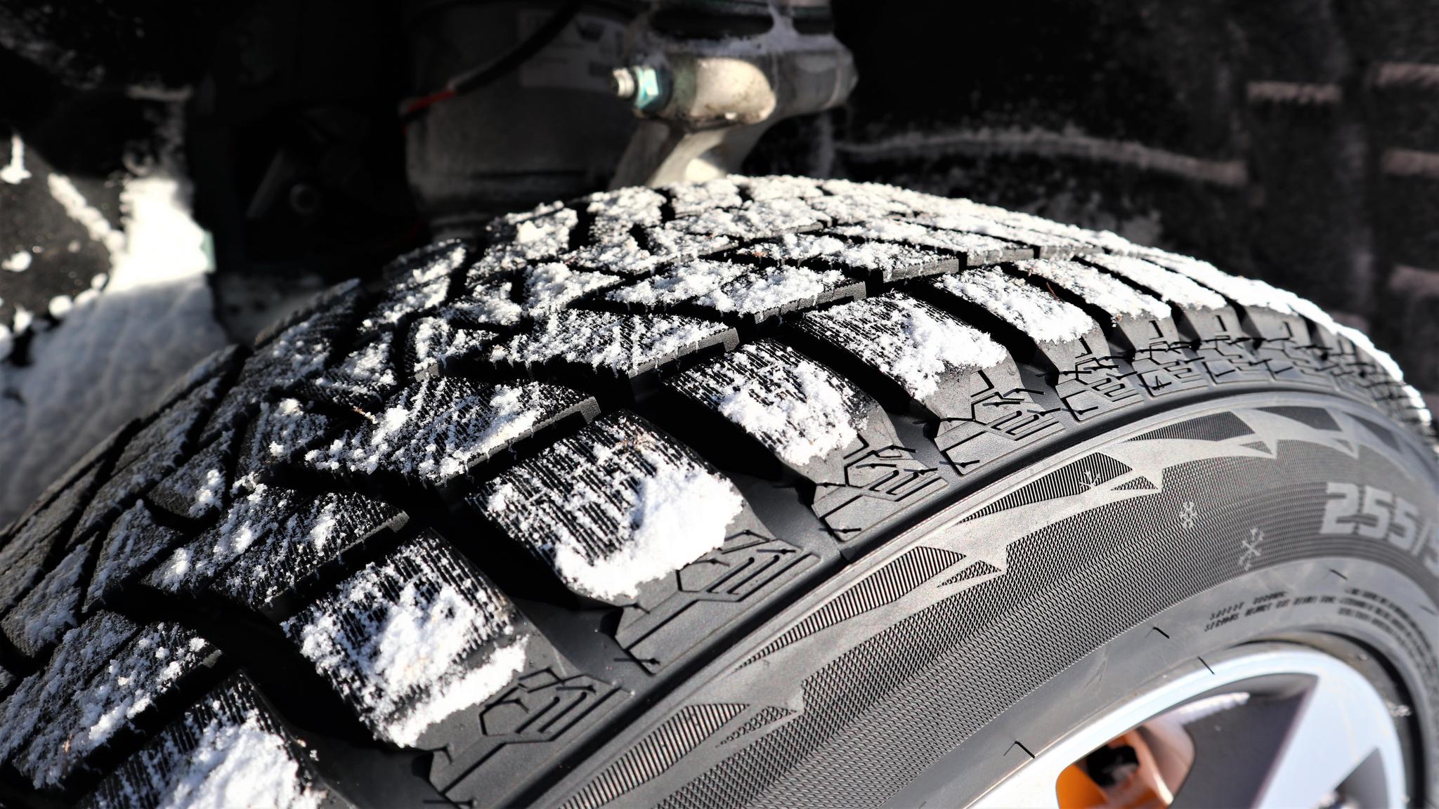 疯了？我居然在东北开电动车越野！