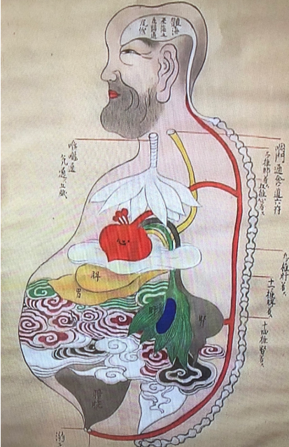 从治病到治心:兰学为何能在闭关锁国的日本杀出一条血路?